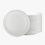Bagasse-Plates-Biodegradable-10in