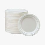 Bagasse-Plates--Biodegradable